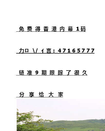 揭秘12生肖開獎記錄，歷史數(shù)據(jù)與趨勢分析，揭秘生肖開獎記錄，歷史數(shù)據(jù)與趨勢深度分析