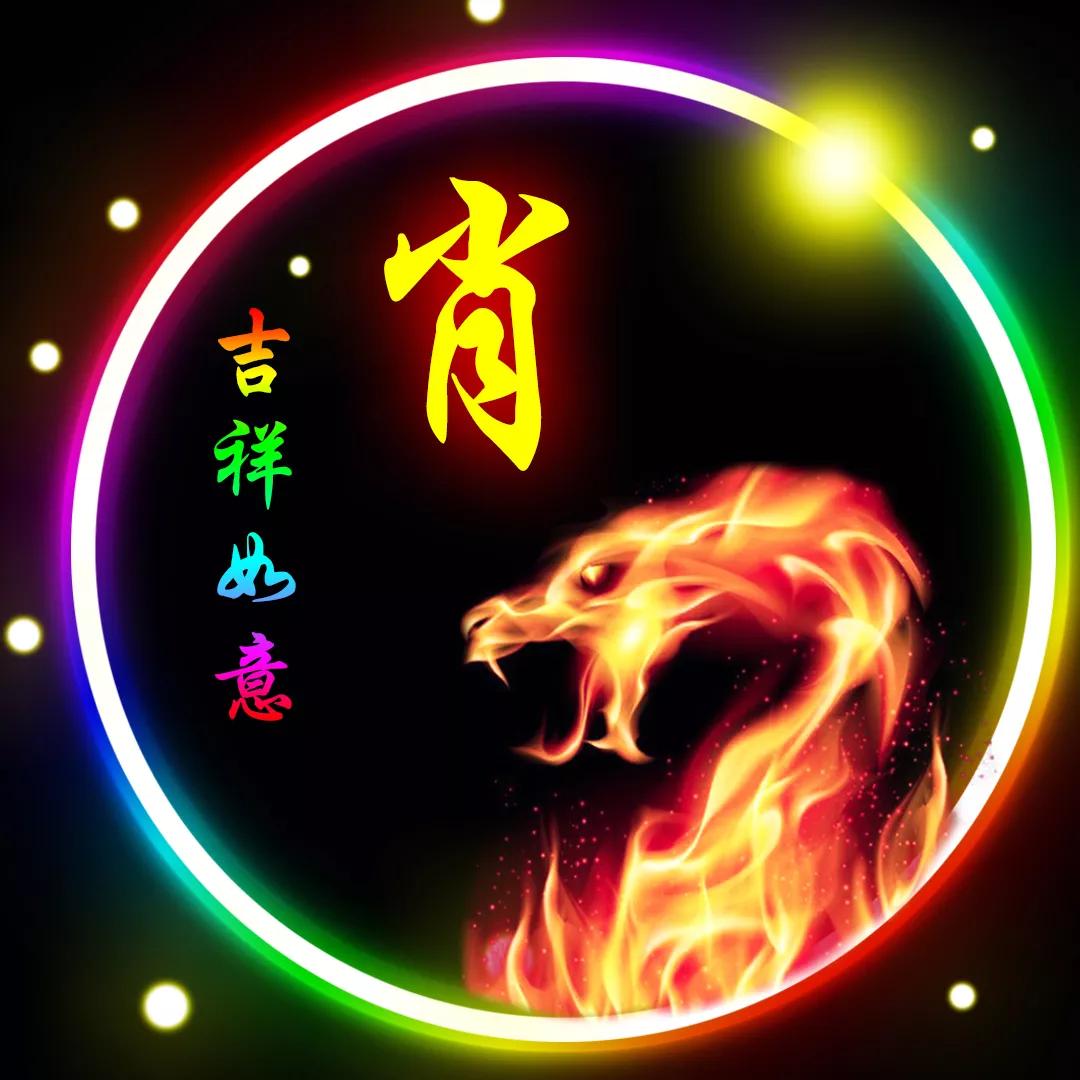 關(guān)于肖十二碼中的生肖解析，探尋生肖奧秘與神秘數(shù)字的聯(lián)系，肖十二碼生肖解析，探尋生肖奧秘與數(shù)字聯(lián)系的神秘面紗