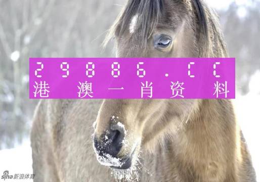 揭秘最準(zhǔn)一肖一碼，探尋100%澳準(zhǔn)確率背后的秘密，揭秘最準(zhǔn)一肖一碼，探尋百分百澳準(zhǔn)確率真相揭秘