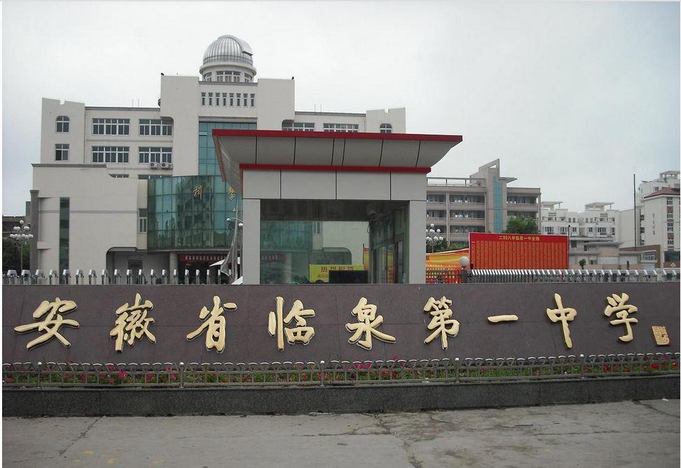 王中王一肖一中特，探尋背后的秘密與策略，揭秘王中王一肖一中特背后的秘密與策略