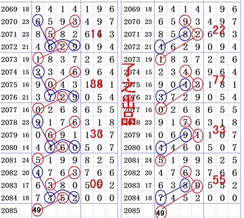 一肖一尾幾組二中二——揭秘數字背后的奧秘與生肖的奇妙關聯，揭秘生肖與數字背后的奧秘，一肖一尾幾組二中二現象解析