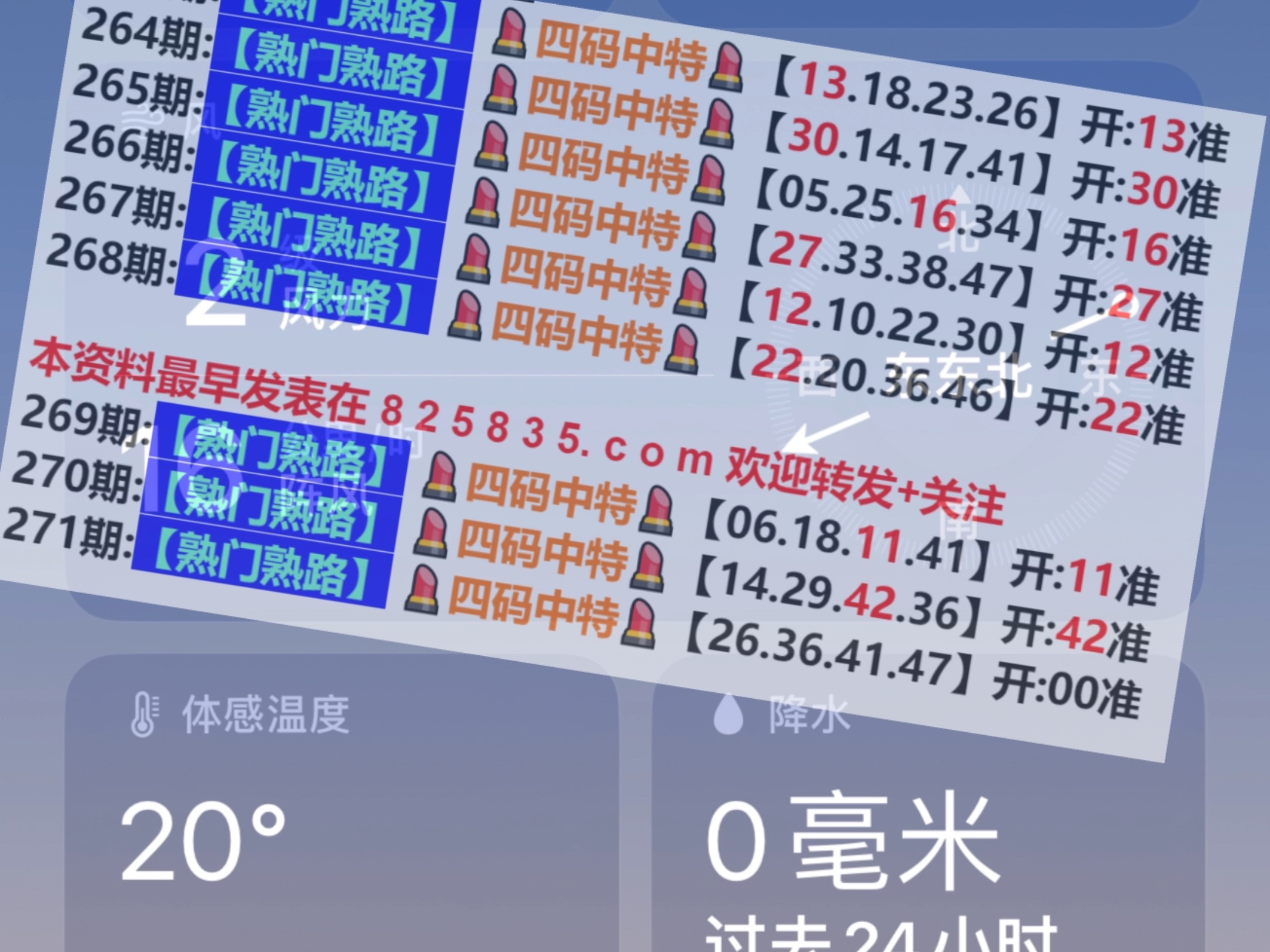 探索澳門(mén)，204年免費(fèi)精準(zhǔn)資料一網(wǎng)打盡，澳門(mén)探索指南，204年免費(fèi)精準(zhǔn)資料全攻略