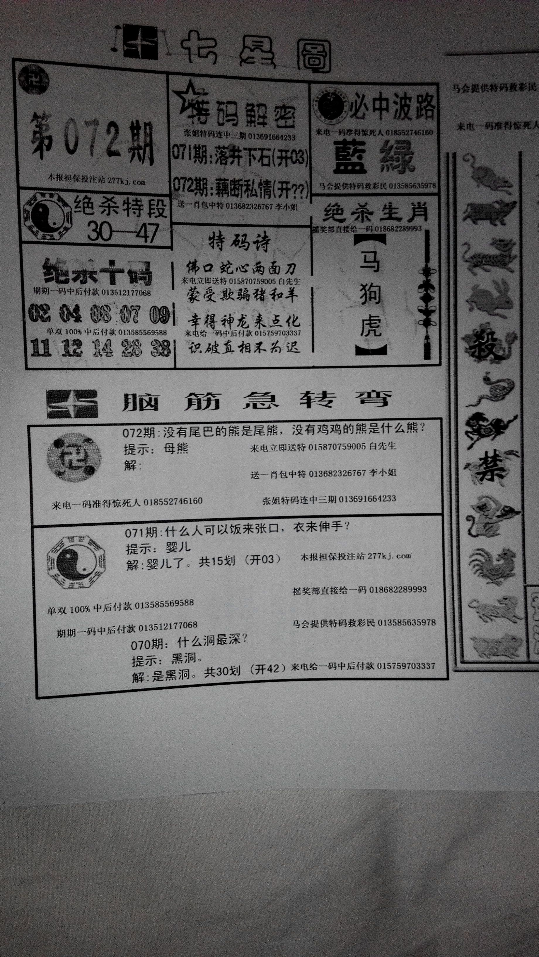 王中王209期指一生肖——揭秘生肖運勢與預測的秘密，揭秘生肖運勢預測，王中王209期生肖運勢大揭秘