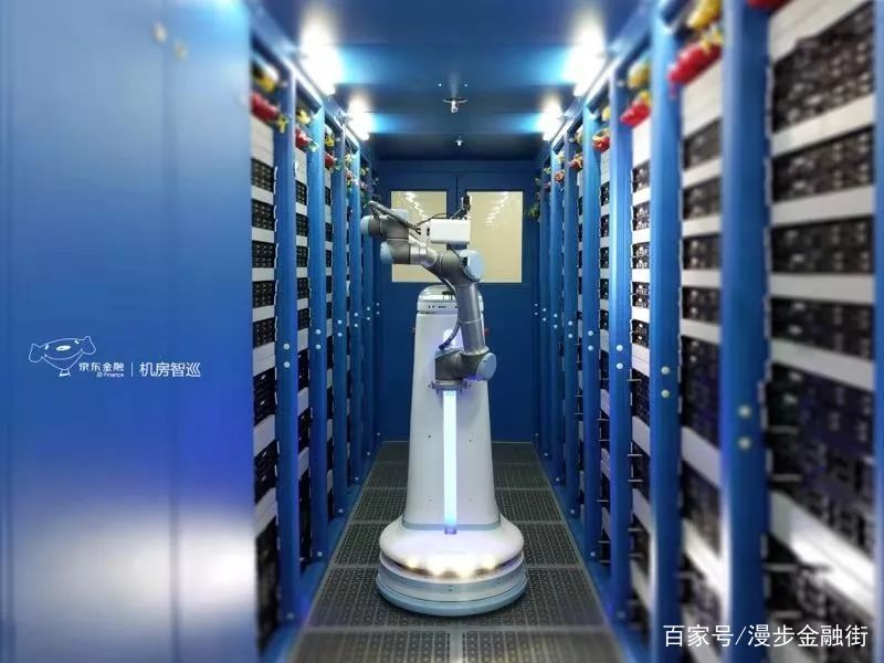 王中王查看一肖中的——揭秘生肖運勢與人生軌跡，揭秘生肖運勢與人生軌跡，王中王視角下的生肖解讀
