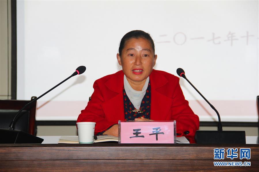 王妃王中王平特一肖，歷史傳奇與現(xiàn)代魅力的交融，王妃與現(xiàn)代魅力，歷史傳奇中的王中王平特一肖交融展現(xiàn)的魅力