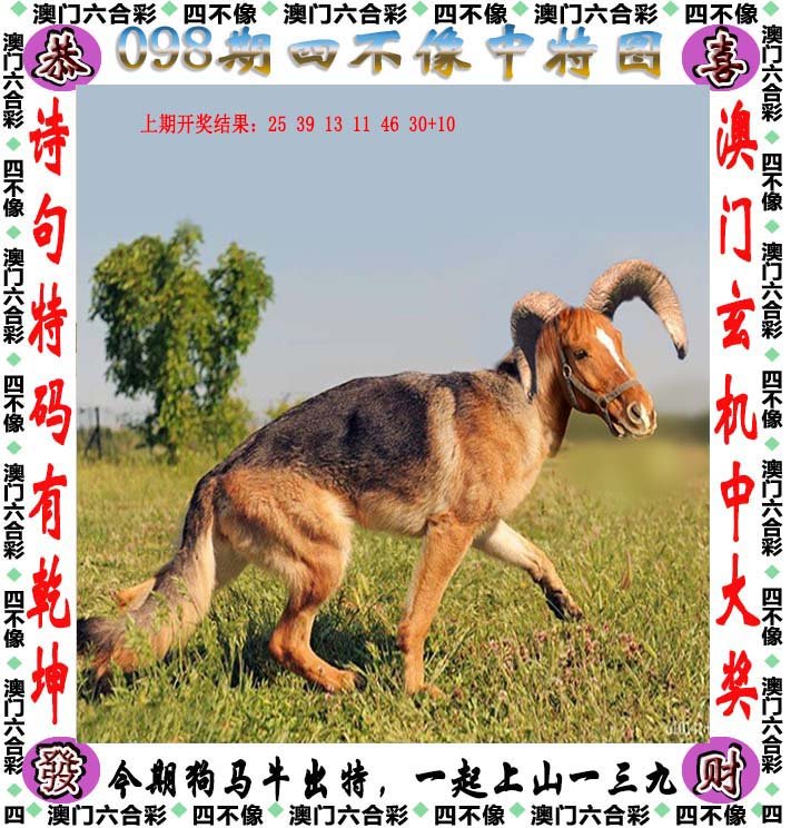 澳門今晚開特馬四不像圖——深度解析與探索，澳門特馬四不像圖深度探索與解析之夜
