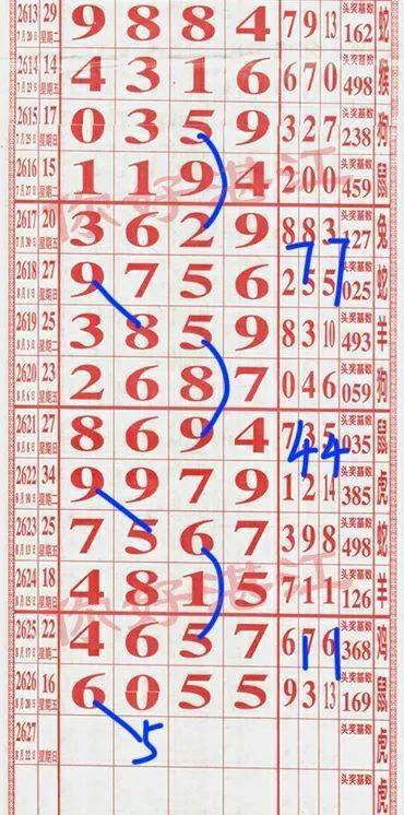 揭秘六令彩王中王，一肖中特的奧秘，揭秘六令彩王中王奧秘，一肖中特真相探索