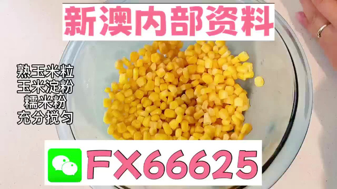 全面解析與實用指南 第5頁