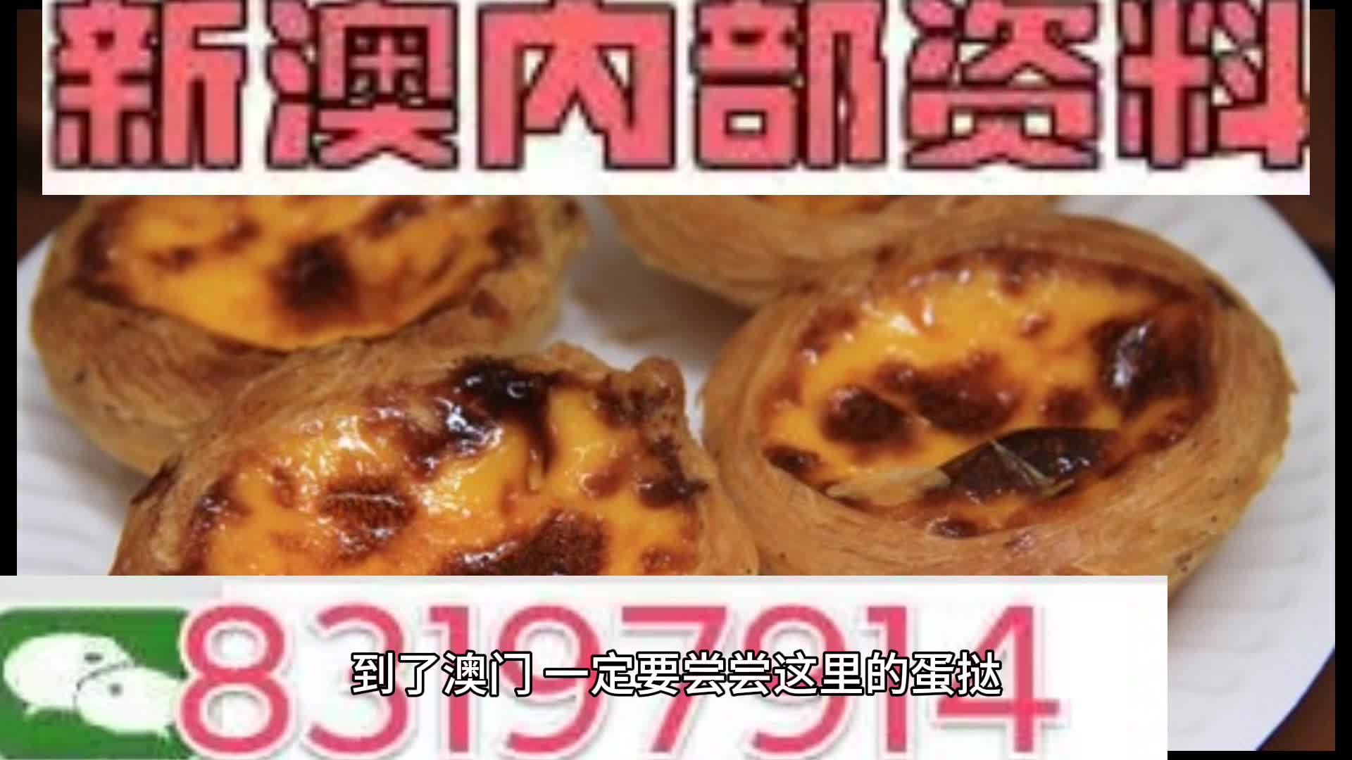 新澳門(mén)資料大全正版資料與奧利奧，探索與體驗(yàn)，澳門(mén)正版資料與奧利奧，探索與體驗(yàn)之旅