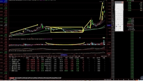 下載王中王一肖平碼，全方位指南與SEO優(yōu)化策略，王中王一肖平碼下載指南與全方位SEO優(yōu)化策略