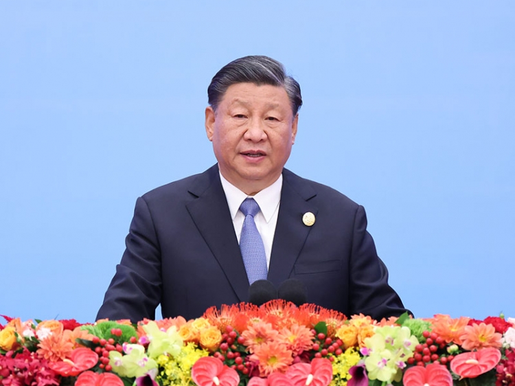 王中王特寫論平特一肖，深度解析與探索，王中王特寫解析與探索，平特一肖的深度洞察
