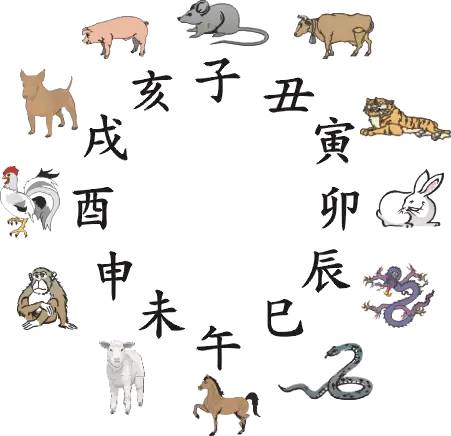王中王生肖 第2頁(yè)