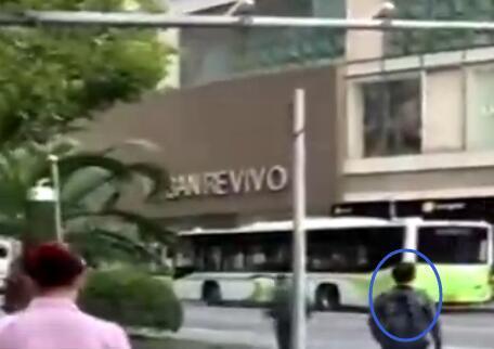王中王一碼一肖免費公開，揭秘背后的秘密與真相，揭秘王中王一碼一肖背后的秘密與真相，免費公開揭秘！