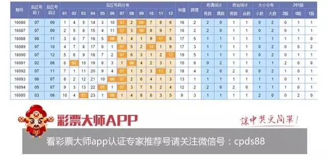 王中王一肖碼期占，深度解析背后的秘密，王中王一肖碼期占深度揭秘，背后的秘密解析