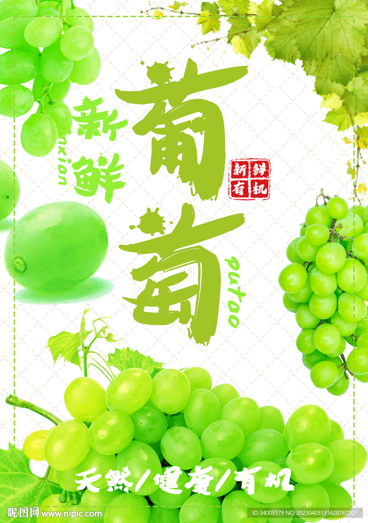 王中王葡萄新平特一肖，探尋葡萄產(chǎn)業(yè)的獨特魅力與未來前景，葡萄產(chǎn)業(yè)獨特魅力與未來前景探索，王中王葡萄新平特一肖的探尋之旅