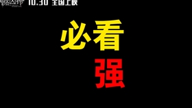 揭秘神秘的數(shù)字組合，探索13661con 王中王一肖背后的故事，揭秘?cái)?shù)字組合背后的故事，王中王一肖的神秘面紗