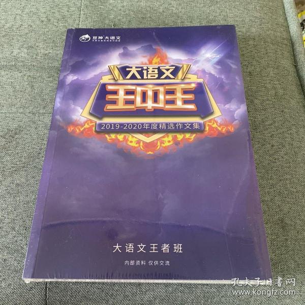 揭秘2019王中王資料一肖，全方位解析背后的故事，揭秘王中王資料一肖背后的故事，全方位解析與深度探討