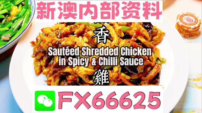 新奧天天精準(zhǔn)資料大全，全方位解讀與應(yīng)用指南，新奧天天精準(zhǔn)資料大全，全方位解讀與應(yīng)用指南手冊(cè)