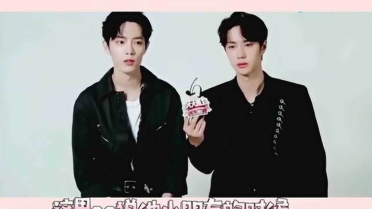 王中王一肖必，探尋背后的秘密與策略，王中王一肖背后的秘密與策略探尋