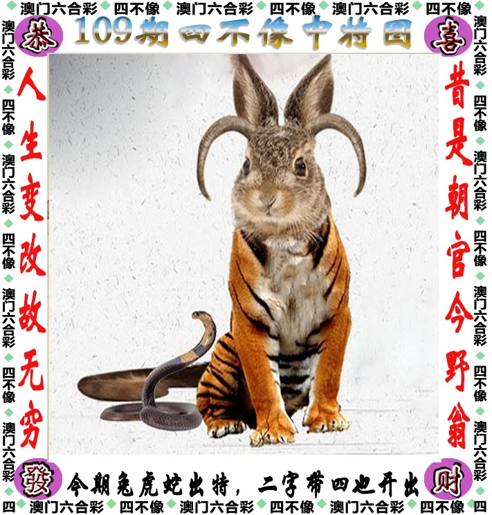 四不像一肖中特王中王——揭秘生肖奧秘與獨(dú)特魅力，揭秘生肖奧秘與獨(dú)特魅力，四不像一肖中特王中王揭秘揭曉！