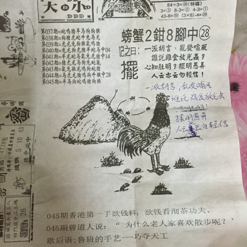 王中王欲全詩(shī)猜一肖，探尋神秘生肖之謎，神秘生肖之謎，王中王欲全詩(shī)揭示謎底