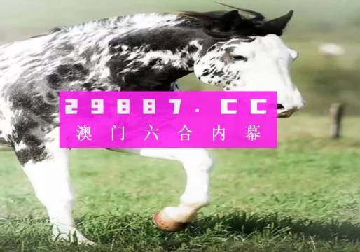 香港內部最準的一肖一碼——揭秘彩票預測真相，揭秘香港內部最準一肖一碼彩票預測真相