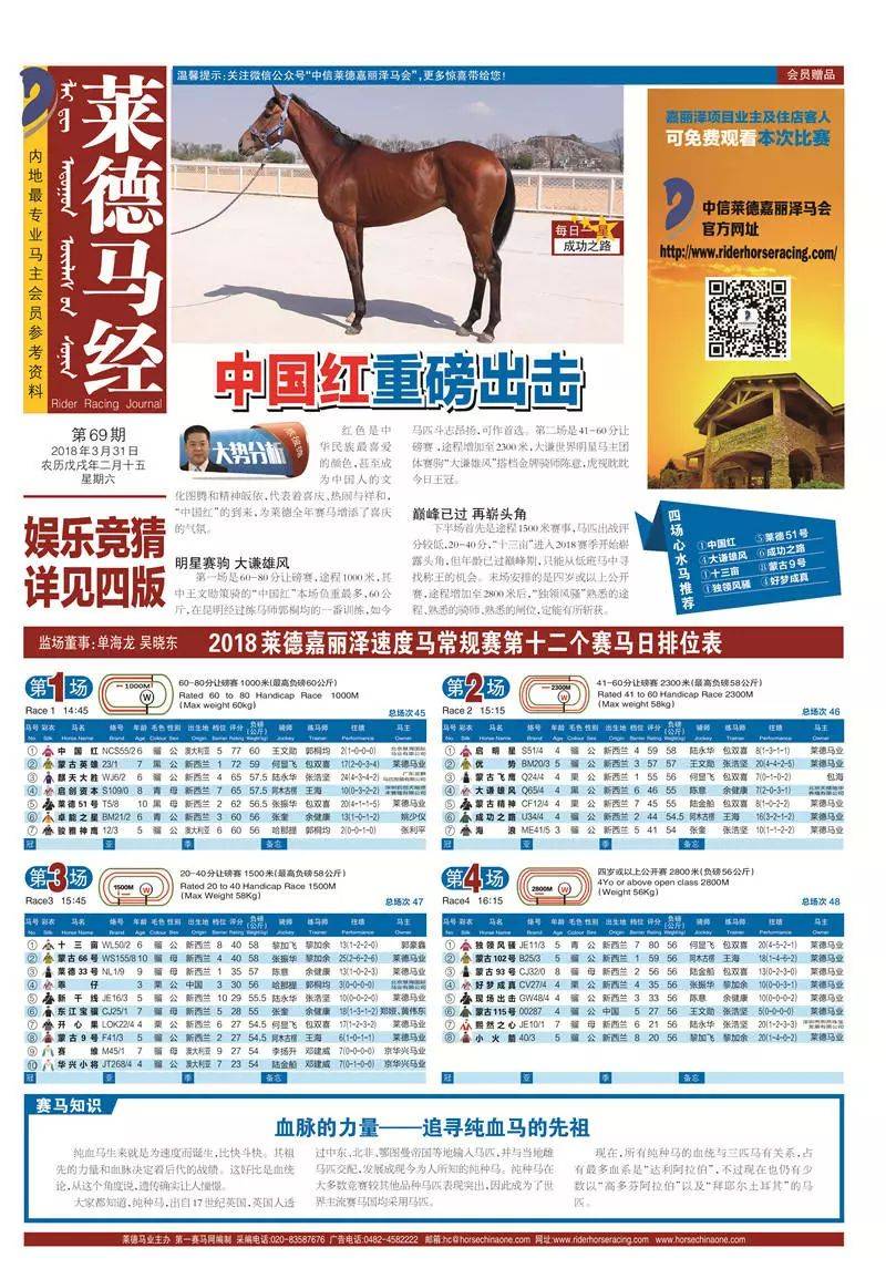 王中王馬經(jīng)圖一肖中特，深度解析與SEO優(yōu)化策略，王中王馬經(jīng)圖一肖深度解析與SEO優(yōu)化策略指南