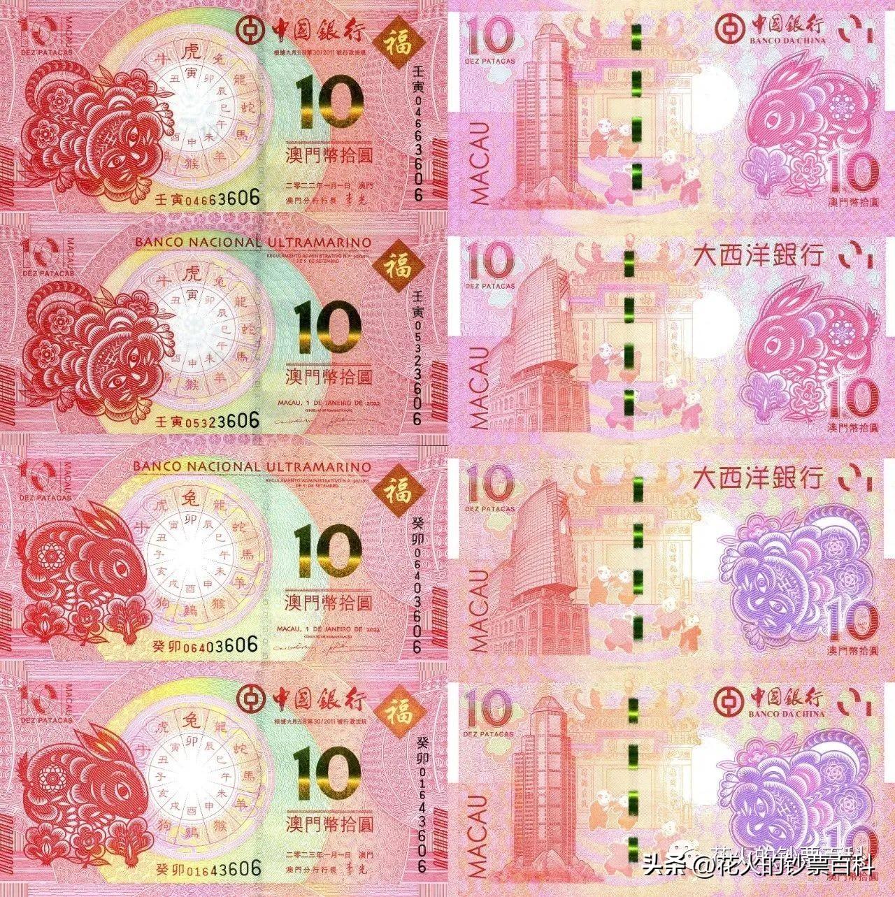 2025全年資料免費(fèi)大全，優(yōu)勢(shì)生肖的獨(dú)特魅力與無(wú)限可能，2025全年資料免費(fèi)大全，揭秘優(yōu)勢(shì)生肖的獨(dú)特魅力與未來(lái)無(wú)限可能