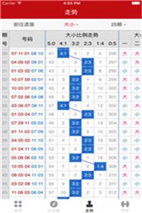 揭秘王中王資料公開(kāi)一肖碼人的神秘面紗，揭秘王中王資料公開(kāi)一肖碼人的真相