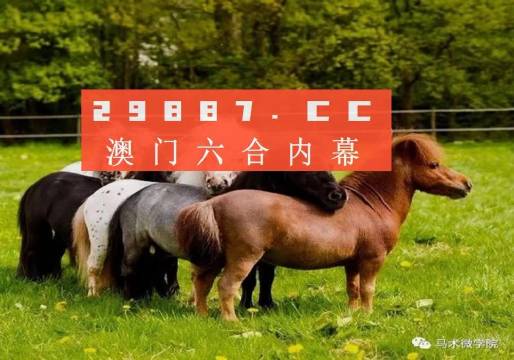 王中王四不像一肖中特，揭秘背后的奧秘與探索無限可能，揭秘王中王四不像一肖中特背后的奧秘與無限探索之旅