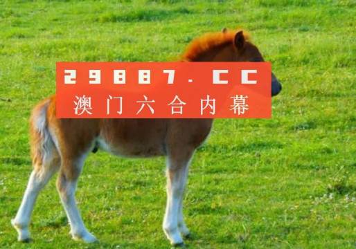 新奧門一肖一碼，探索與解析，新奧門一肖一碼解析與探索