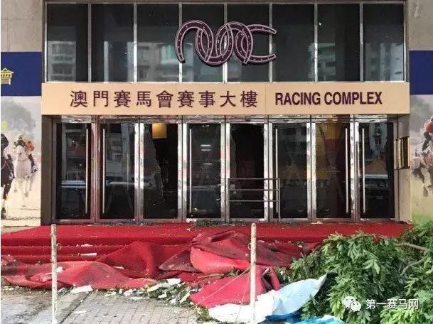 馬會(huì)傳真，探索澳門(mén)賽馬文化的魅力，澳門(mén)賽馬文化探索，馬會(huì)傳真的魅力