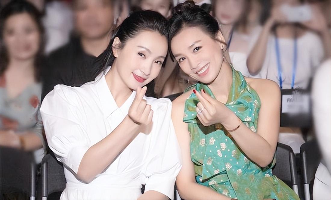 張庭和陶虹的最新消息，演藝圈的璀璨之星持續(xù)閃耀，張庭與陶虹最新動態(tài)，演藝圈之星繼續(xù)閃耀光芒