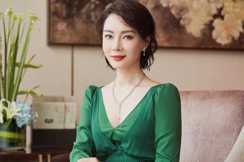 陳數(shù)個人資料及孩子，深度了解這位杰出人物的生涯與家庭，陳數(shù)，生涯與家庭揭秘，孩子的成長背景深度了解