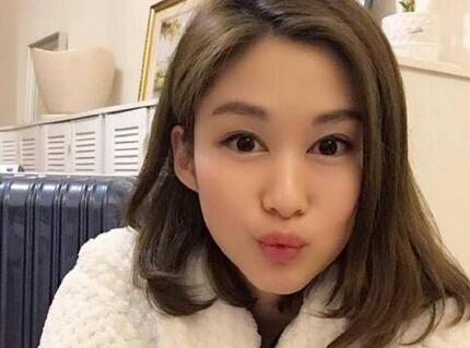 岑麗香個(gè)人資料簡介，岑麗香個(gè)人資料簡介，揭秘她的生活與事業(yè)之路