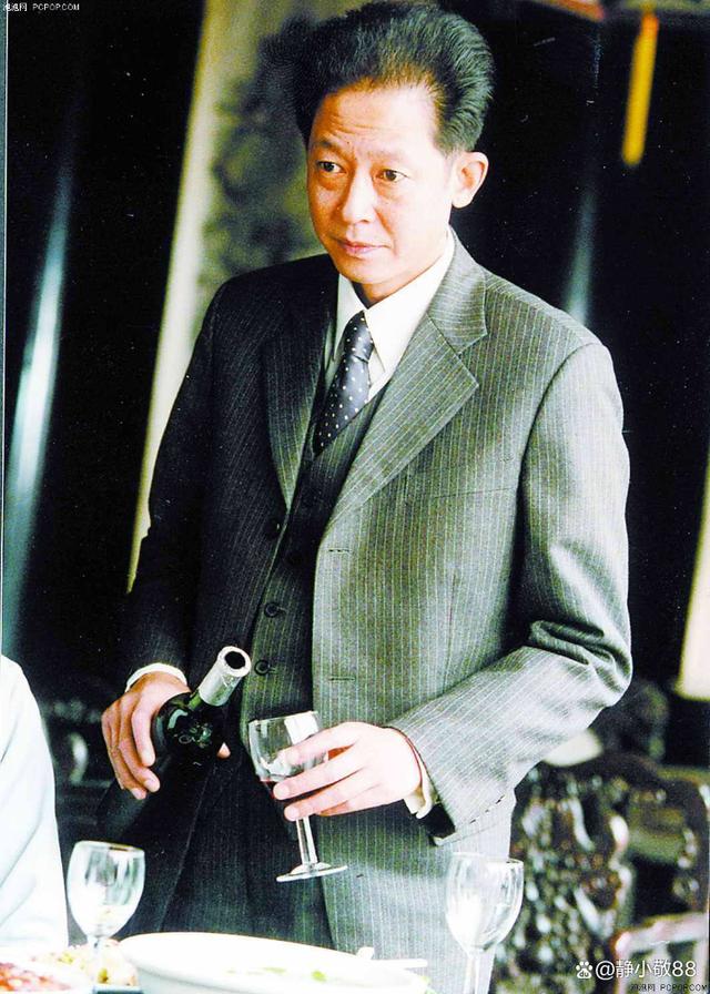 王志文十大經(jīng)典電視劇，回顧與解析，王志文十大經(jīng)典電視劇回顧與深度解析