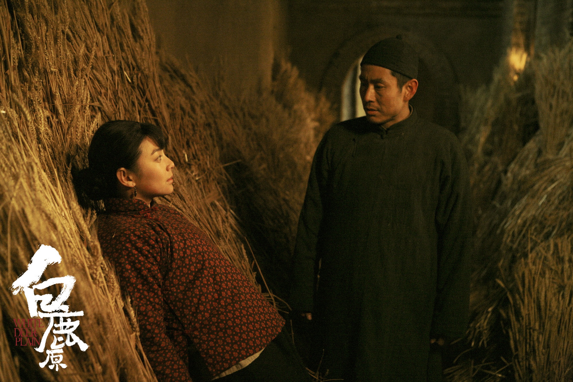 白鹿原簡介——深度解讀這部經(jīng)典之作，白鹿原深度解讀，經(jīng)典之作的簡介
