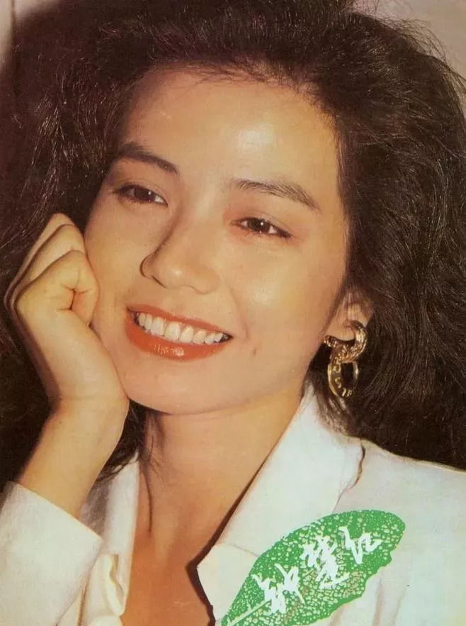 香港女星顏值巔峰，美麗與魅力的完美結(jié)合，香港女星顏值巔峰，美麗與魅力的絕妙交融