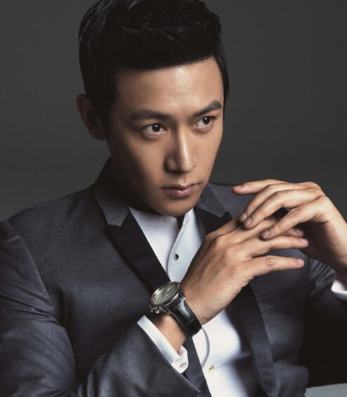 國(guó)內(nèi)明星男演員，他們的魅力與影響力，國(guó)內(nèi)明星男演員的魅力與影響力解析