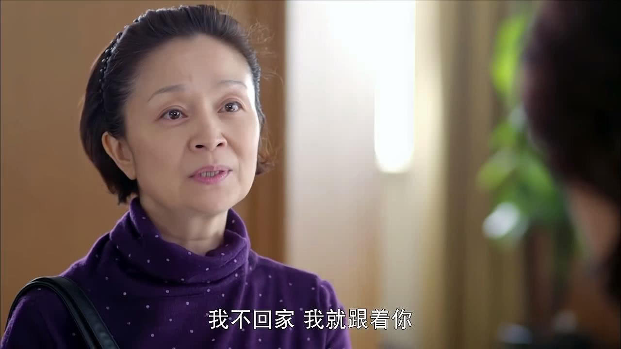 潘虹主演的電視劇大全，經(jīng)典角色與作品回顧，潘虹主演電視劇大全及經(jīng)典角色回顧