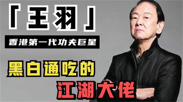 王羽個人資料，探索個人背景的深度之旅，王羽個人背景深度探索之旅
