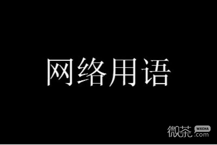 揭秘421事件背后的真相與含義，揭秘421事件背后的真相深度解析