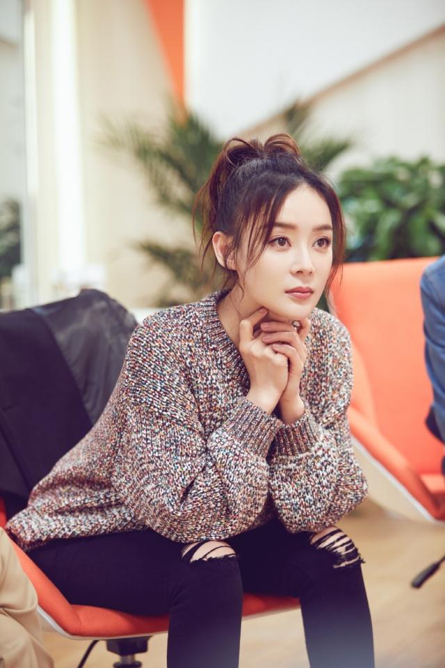 袁姍姍電視劇，演藝之路與角色魅力，袁姍姍演藝之路，角色魅力與電視劇之旅