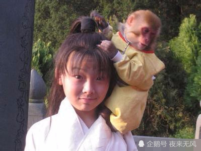 中國式離婚演員表及其角色深度解析，中國式離婚演員陣容及角色深度剖析
