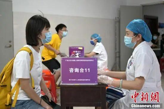 苗苗個人資料簡介全名，探尋個人魅力的旅程，苗苗全名個人資料簡介，個人魅力探尋之旅