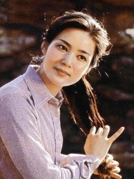 潘虹現(xiàn)狀，演藝之路的輝煌與變遷，潘虹的演藝之路，輝煌變遷與現(xiàn)狀回顧