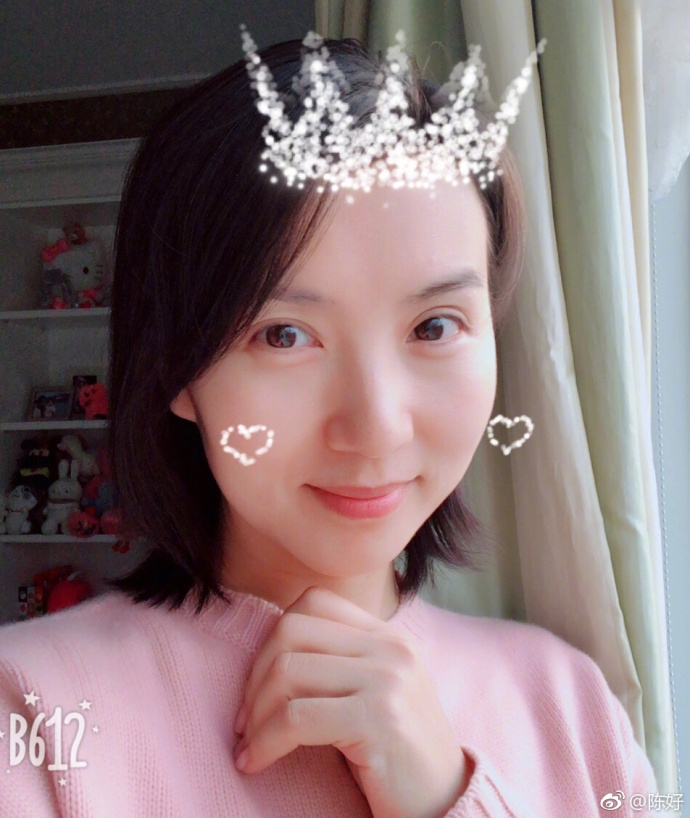 陳好個人資料及出生日期揭秘，陳好個人資料和生日大揭秘