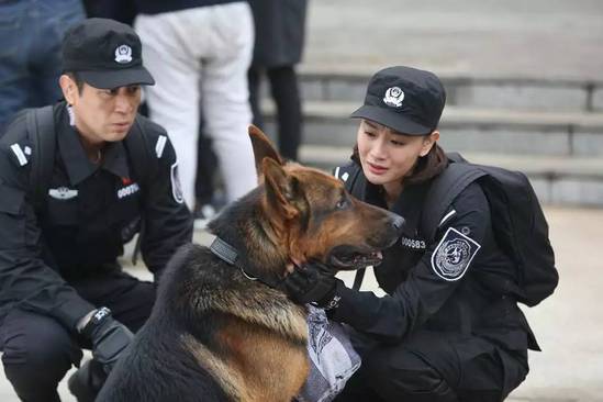 警花與警犬演員表——探尋熒幕上的英勇與溫情，警花與警犬，熒幕英勇與溫情的演員陣容