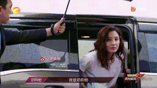 金莎個人資料簡介及老公，深度探索，金莎個人資料與老公揭秘，深度探究之旅