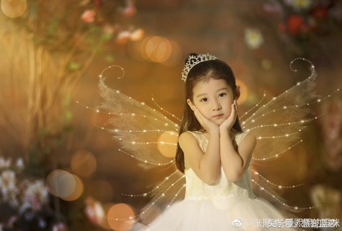 張歆藝的電視劇大全，一位實(shí)力派女演員的熒屏之旅，張歆藝熒屏之旅，實(shí)力派女演員的電視劇大全